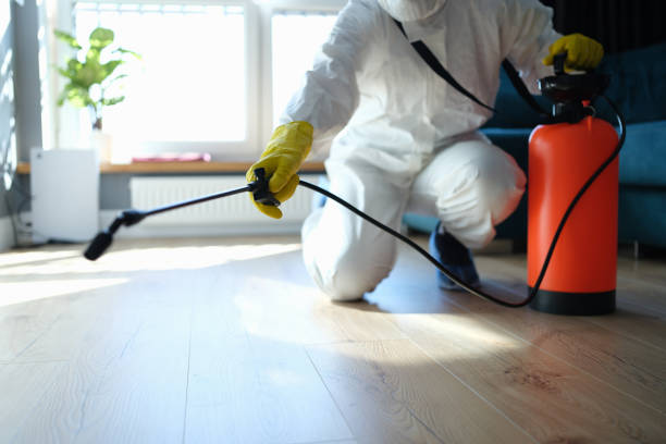 Reliable Hoarding Cleanup contractor in New London, OH by Crime Scene Cleaner Online